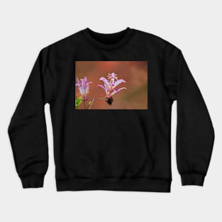 Hiding Crewneck Sweatshirt